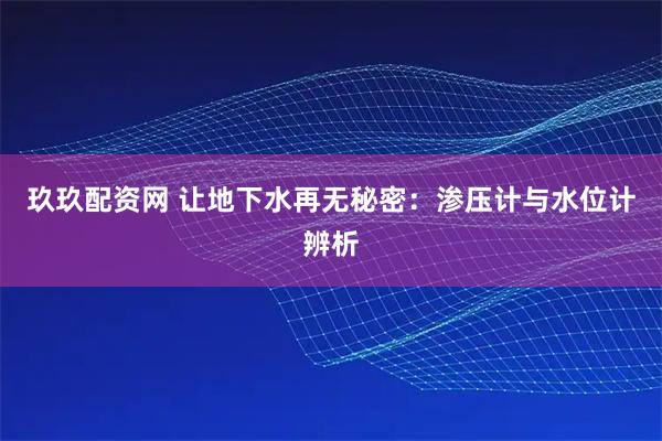 玖玖配资网 让地下水再无秘密：渗压计与水位计辨析