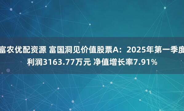 富农优配资源 富国洞见价值股票A：2025年第一季度利润3163.77万元 净值增长率7.91%