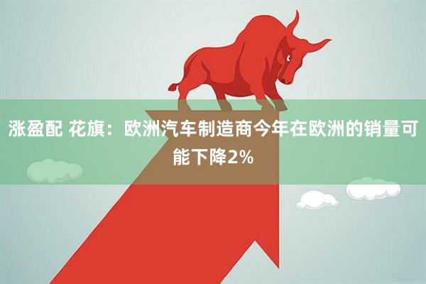 涨盈配 花旗：欧洲汽车制造商今年在欧洲的销量可能下降2%