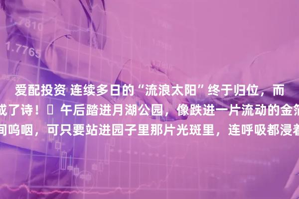 爱配投资 连续多日的“流浪太阳”终于归位，而月湖公园正把这束光酿成了诗！️午后踏进月湖公园，像跌进一片流动的金箔海。西北风还在柳枝间呜咽，可只要站进园子里那片光斑里，连呼吸都浸着蜜甜。阴云退散后，月湖的水面把蓝天揉碎成粼粼波光，岸边的花攒着光绽放——哪是赏花？分明是在月湖公园借光续命啊！